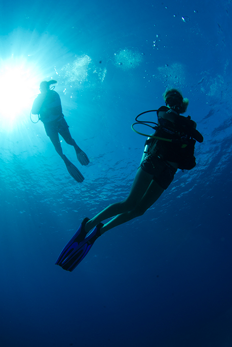 PADI Open Water Course in Grand Cayman with Lobster Pot Dive Center