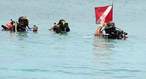 PADI Reactive - Refresher Course in Grand Cayman with Lobster Pot Dive Center