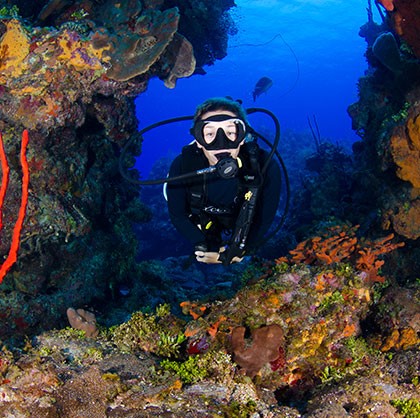 Grand Cayman Diving