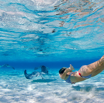 Grand Cayman Dive Center Lobster Pot